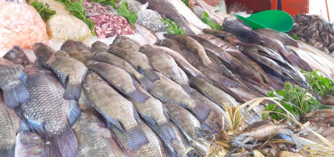 Verifican venta de pescados y mariscos en Tuxtepec | NVI Cuenca